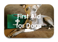 first aid for dogs image button